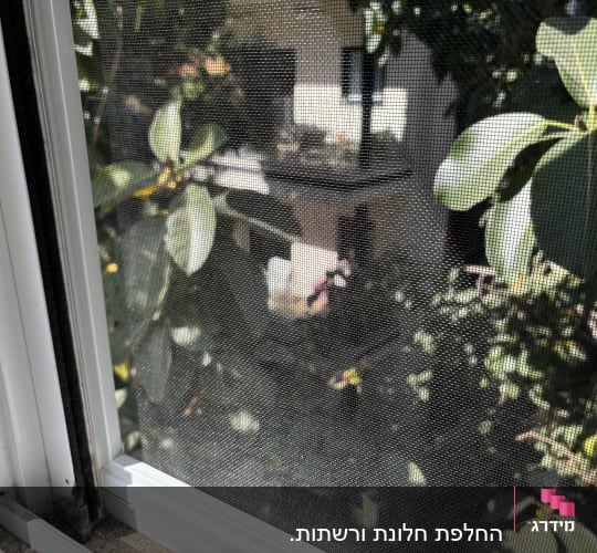 מסגרת אלומיניום של חלון עם רשת
